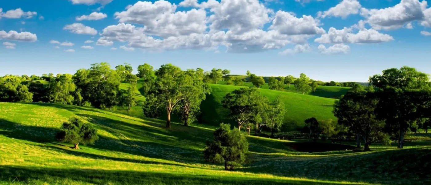 Compromiso medioambiental Mastiplas